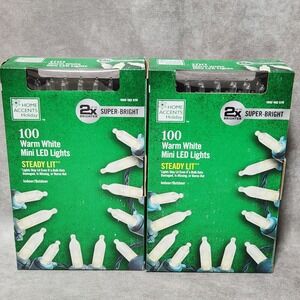 2-pack Home Accents Holiday 100 Warm White Mini LED Lights Steady Lit Christmas
